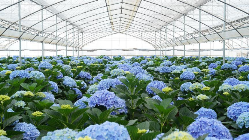 PxseLb8pVnU8OdS9.png image.png