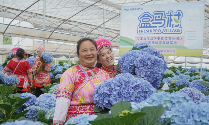 fBx75MLhrUYb00VG.png image.png