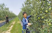 永寿 全面管护产优果