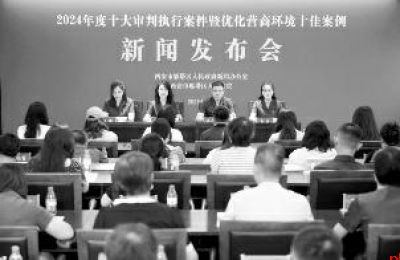 2024年度十大审判执行案件 优化营商环境十佳案例