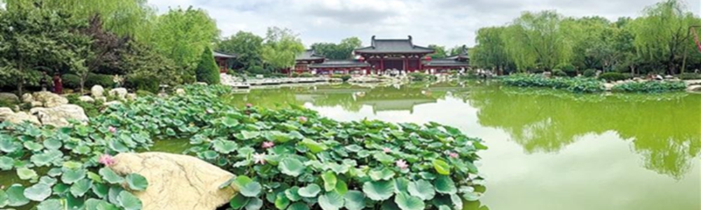 小暑温风至 消暑正当时