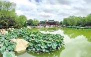 小暑温风至 消暑正当时