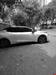 这些路段车辆违停问题记者已向交管部门反映