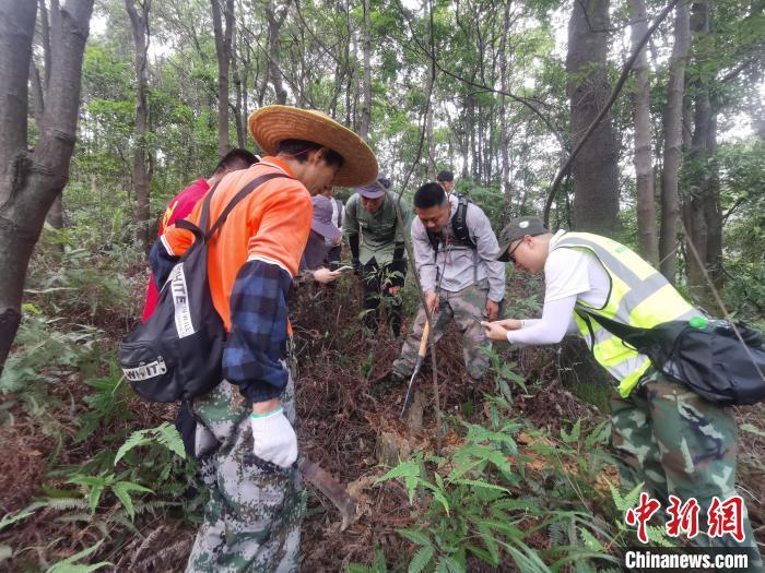 广东科研人员开展中华穿山甲洞穴样线专项调查。广东省林业局 供图