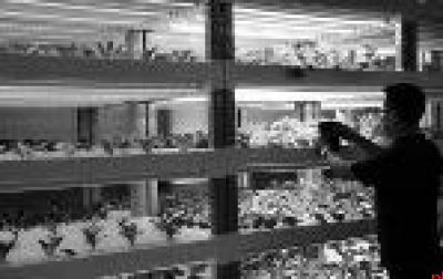 从“看天吃饭”到“指尖管理” 智慧农业把植物种进“温室”