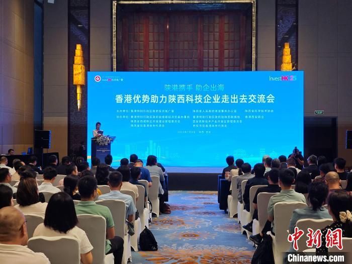 图为交流会现场。党田野 摄