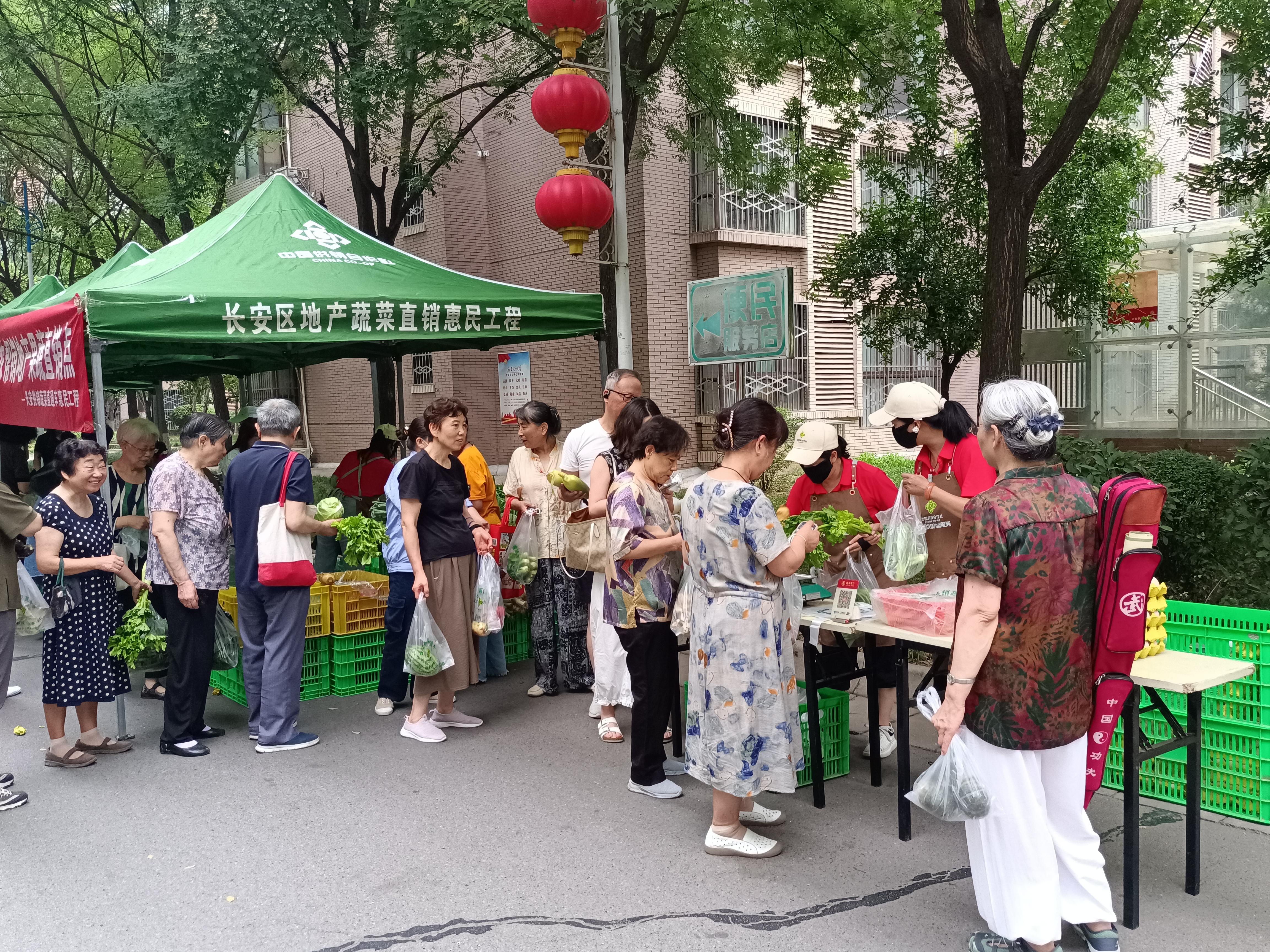 SqKZYVa8oWWkEk9P.png 图片1.png