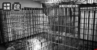 长期盘踞缅北大肆实施电诈 白所成等21人被提起公诉