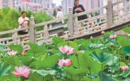 今起我市高温强度将进一步加强