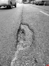 民洁路南口 绿化带杂乱还堆垃圾