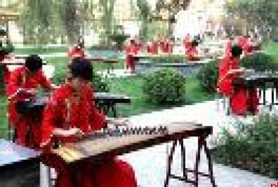 西北大学附属中学 招生代码010119 西大附中浐灞中学 招生代码010532