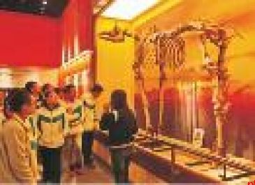 西北大学附属中学 招生代码010119 西大附中浐灞中学 招生代码010532