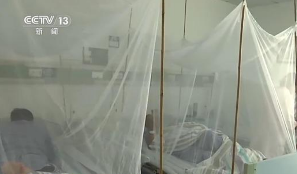 广东基孔肯雅热确诊已超2000例 记者探访定点收治机构