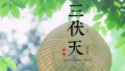 热在三伏！“三伏天”为何是一年最热的时候？
