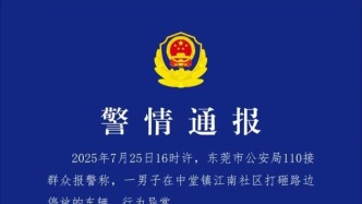 一行为异常男子打砸路边停放车辆 东莞警方：已将其控制