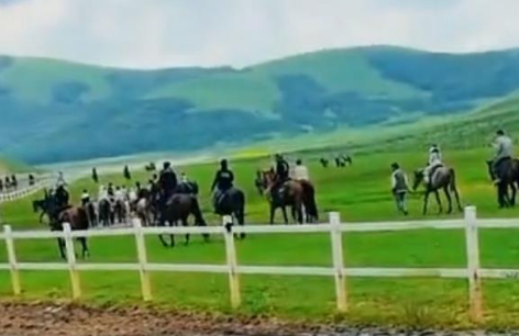 河北丰宁坝上草原有游客骑马相撞 派出所：两马一死一伤