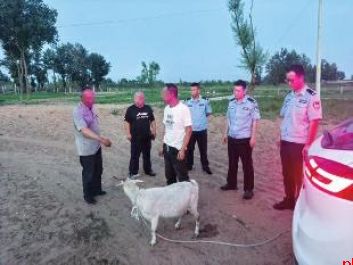 起贪念路边顺手“牵”羊 夫妻双双“落网”