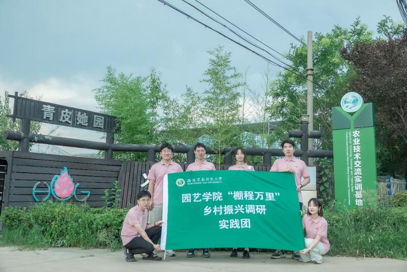 青春直播助农：西农学子化身“新农人”为杨凌火龙果代言