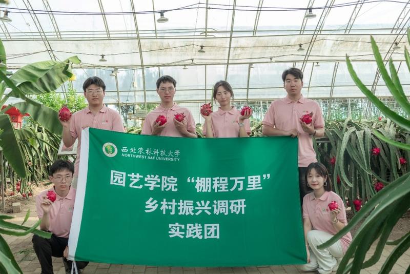 西农学子三下乡：深探南果北种 助力产业振兴