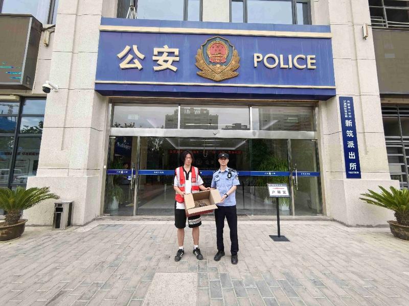 国家二级保护动物“红隼”受伤坠落 浐灞警民暖心救助
