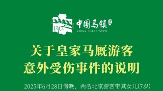 马镇旅游度假区回应“女童被汗血宝马咬伤”：先行赔偿10万元