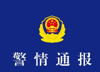 殴打14岁女生的两名施暴者被送往专门学校 