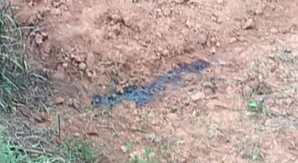 54岁农民工如厕被误当猎物遭枪击身亡 家属：单位不认可工亡