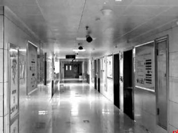 科室宣传栏邵医生排首位 18张送锦旗照中15张有她身影