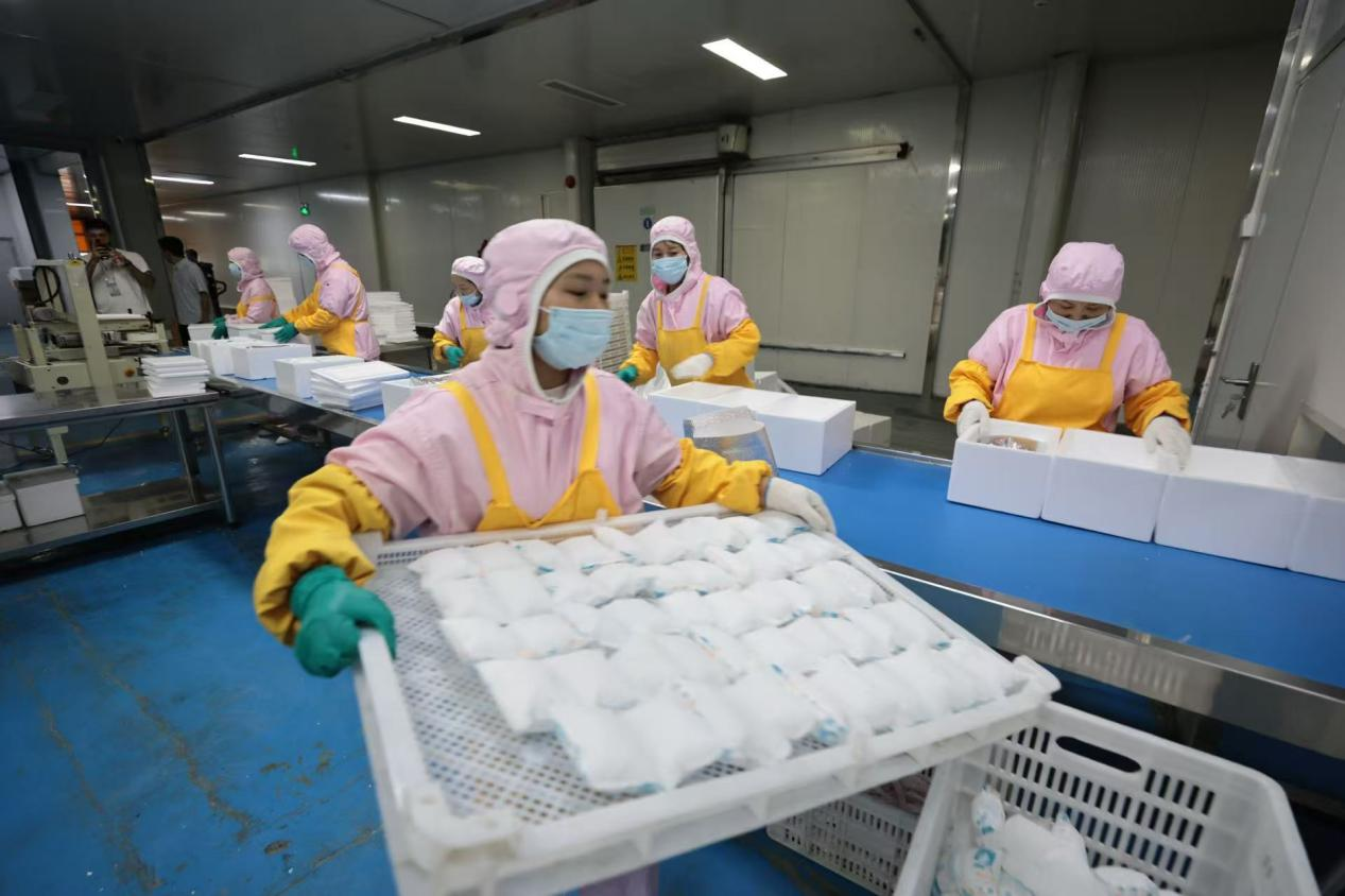 大河奔涌万象新丨渭南潼关：黄河“密钥”链动舌尖经济 传承关隘文明