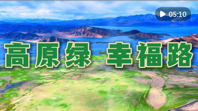 bbc3e3a4fb3d2e30aeac2320fc4499a.png