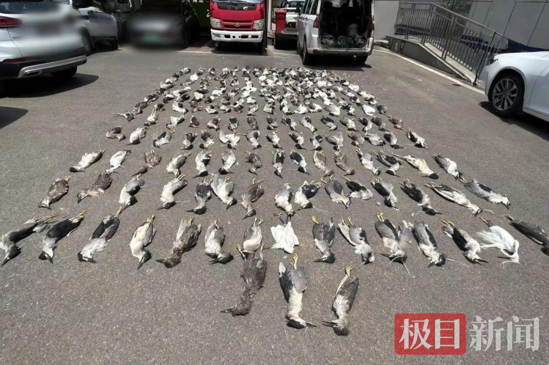 微信图片_2025-08-10_082203_067.jpg