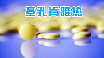 基孔肯雅热会多次感染吗？哪些群体风险最大？世卫组织答问