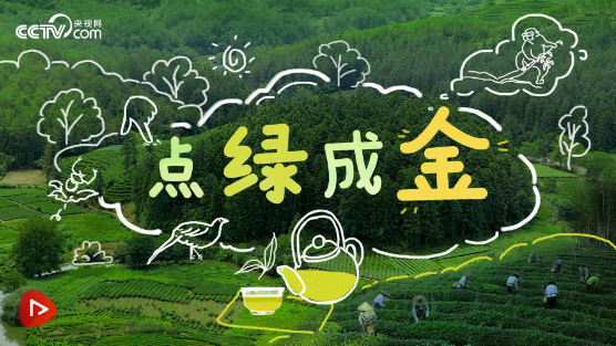 dbc19d41772dcdf0c6c99a46a43d040.png