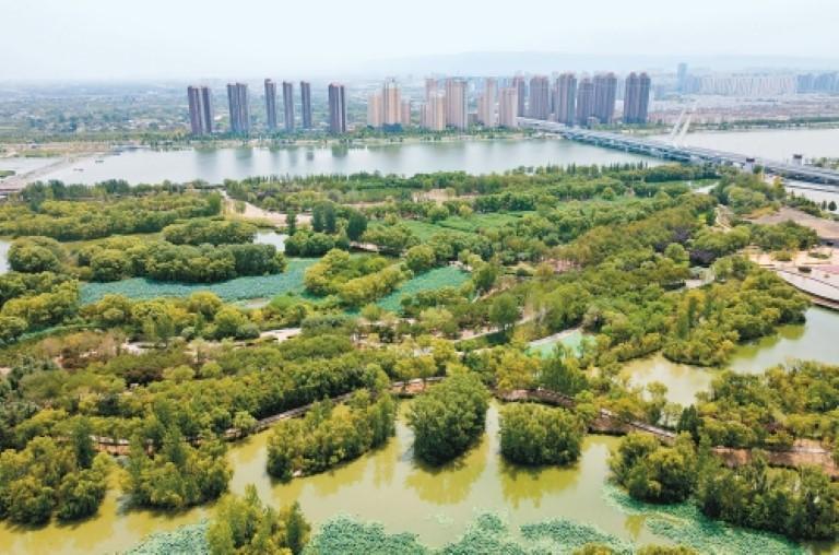 西安浐灞国家湿地公园：11年，用镜头构建“生态数据库”