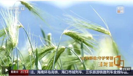 360截图20250825151126810.jpg