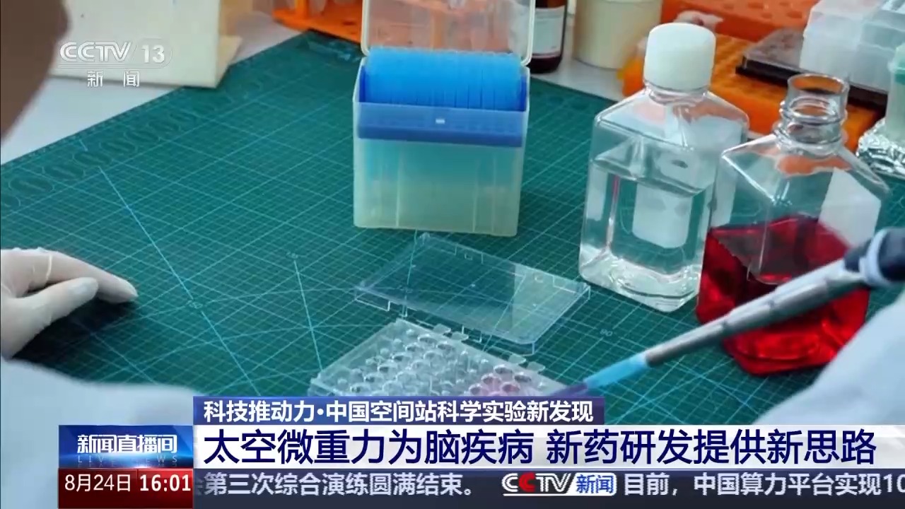 中国空间站完成空间生命科学在轨实验任务 还刷新一项新纪录
