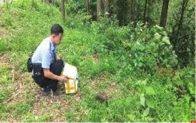 迷途果子狸误闯民宅 镇巴县警民联手助其回归自然