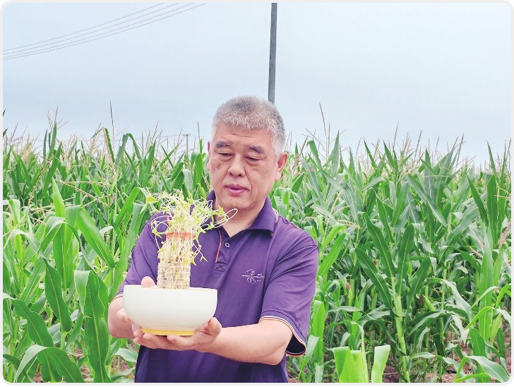 秦地七夕：非遗织就的千年浪漫长卷