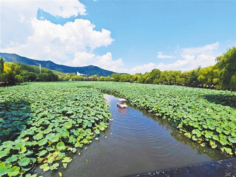 从好风景到好“钱”景 商洛深入探索生态产品价值实现机制