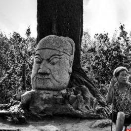 长安村落的表情