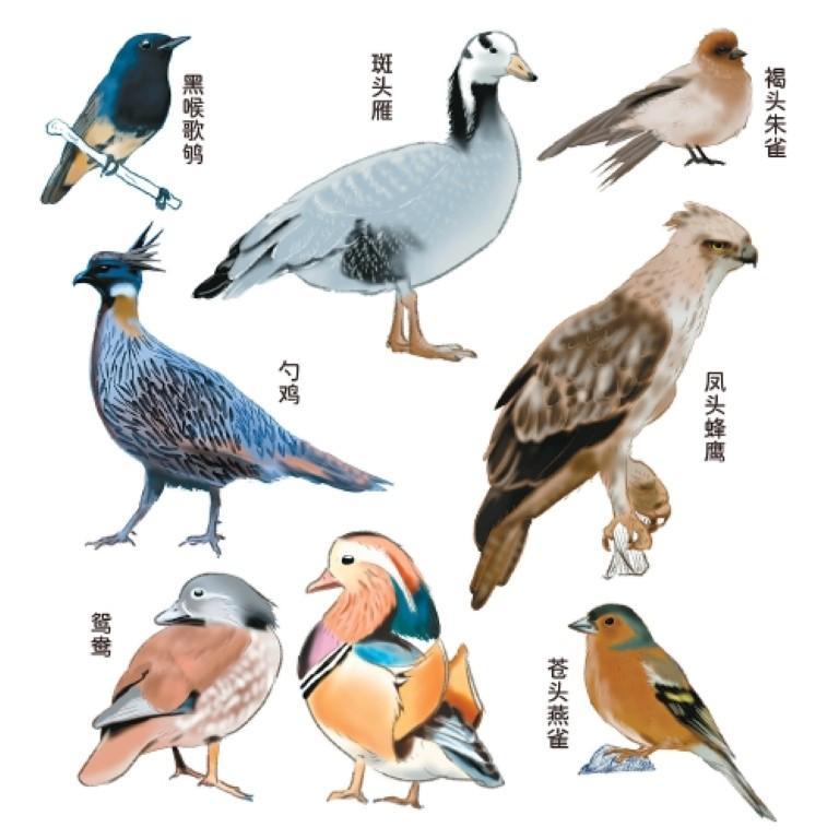 74dafd66-eb9b-450c-aa92-fa183cfc5c4d.jpg