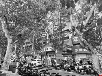 暂未见新国标车辆上市 老款仍是销售主力