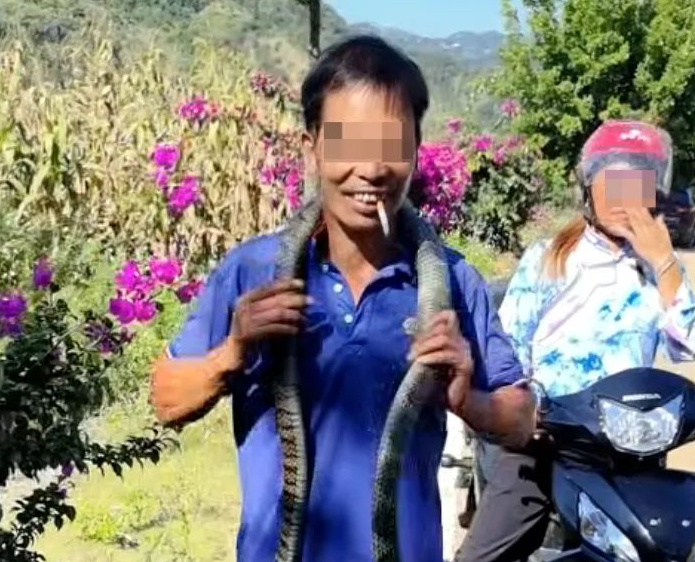 贵州一男子误将眼镜王蛇当乌梢蛇 挂脖玩耍被咬身亡 