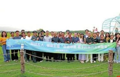 文艺与乡土的“双向奔赴”