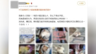 贵阳“挖眼虐猫”事件系AI编造谣言 造谣者已被行政处罚