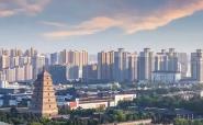 陕西统一战线聚力服务全省经济社会高质量发展