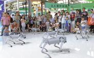 2025年服贸会观察：这些“新”意值得关注