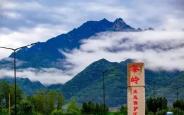 《秦岭生态气候公报(2024年度)》发布