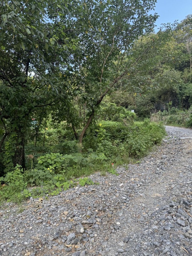 "女子接触氢氟酸后死亡"事发地：山上曾有工厂 有居民种菜
