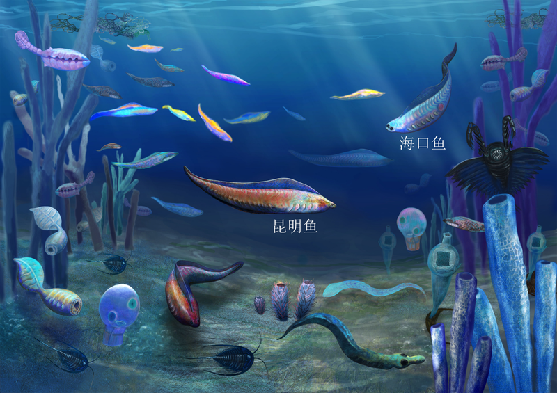 科学周刊|人类的先祖是鱼！“老祖宗”昆明鱼率先进化出头、脑、眼  记者专访西北大学地质学系教授韩健